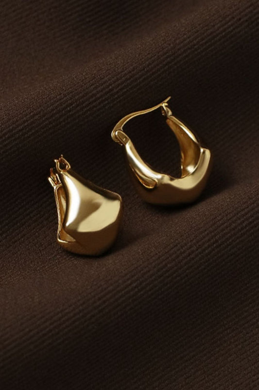 Timeless Tale Chunky Hoop Earrings