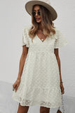 Swiss Dot Frill Shoulder Short Sleeve Mini Dress