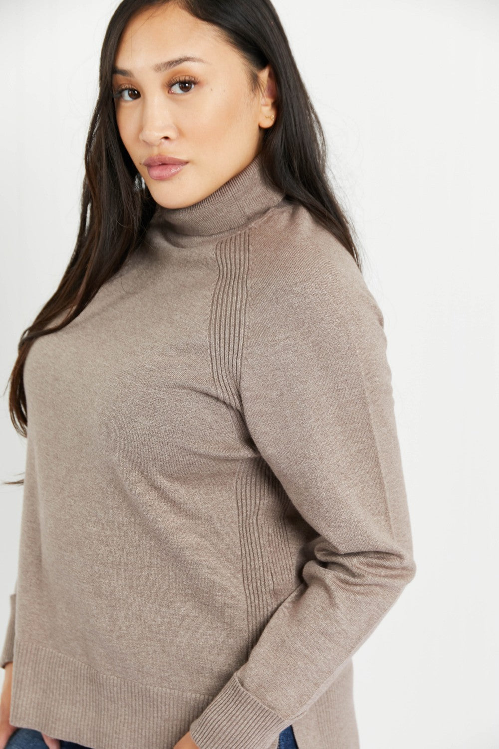 Emerald Collection Northwest Full Size Ribbed Detail Turtleneck Sweater