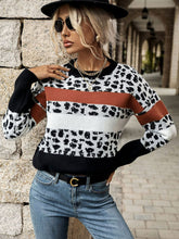 Load image into Gallery viewer, Printed Color Block Round Neck Sweater
