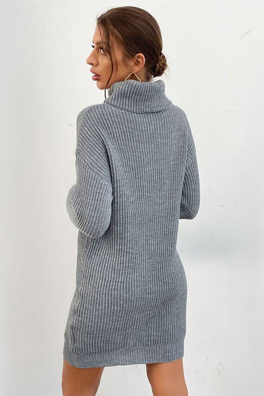 Ribbed Knit Turtleneck Sweater Dress