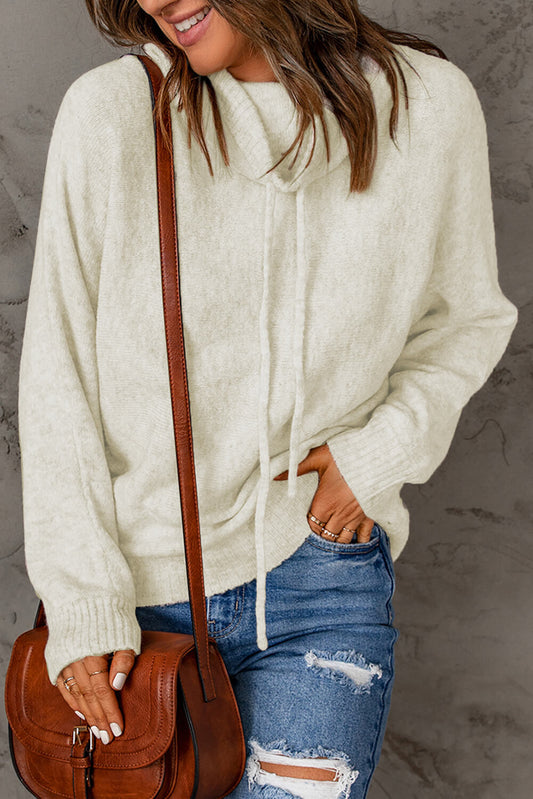 Drawstring Cowl Neck Ribbed Trim Sweater