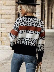 Printed Color Block Round Neck Sweater