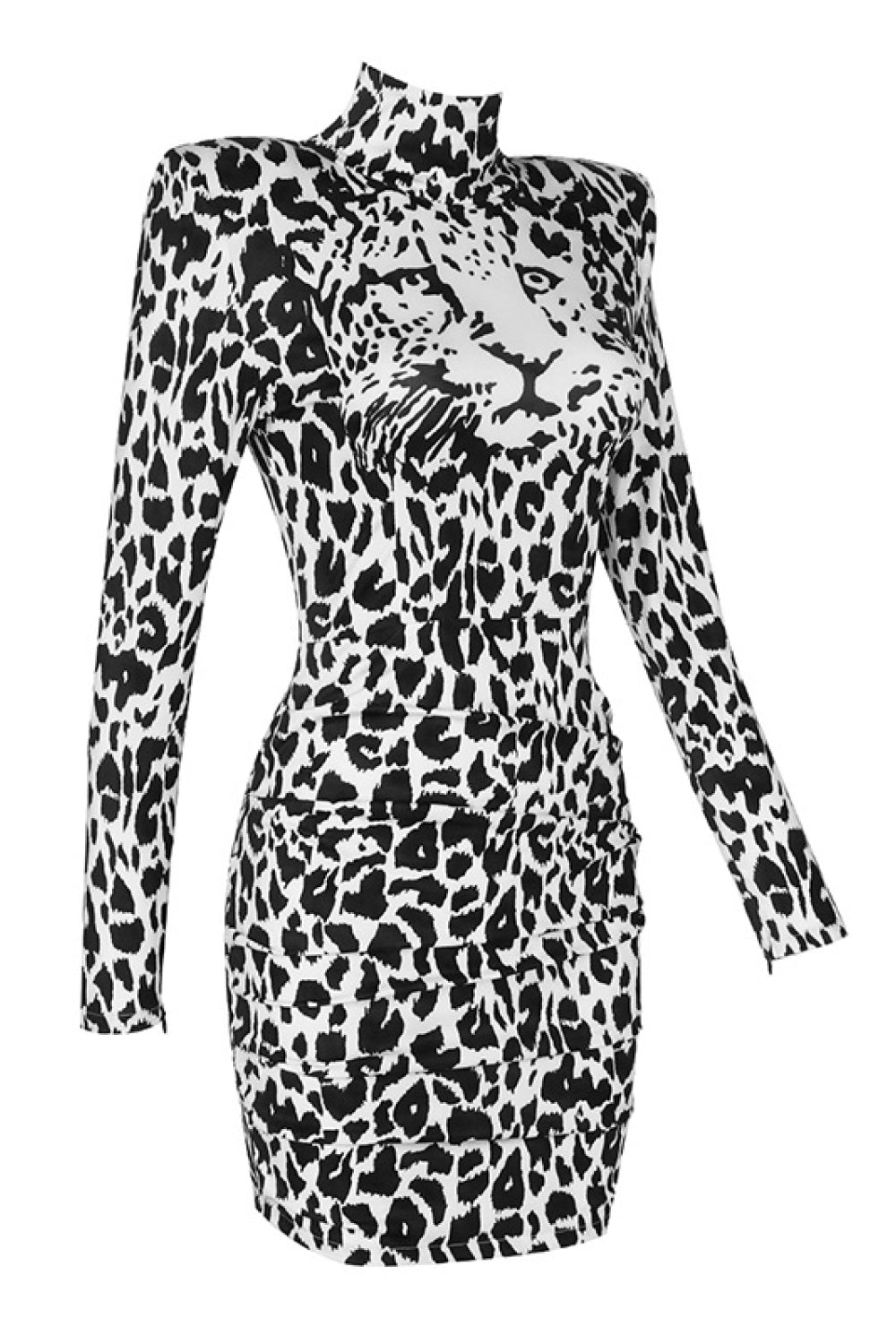 Leopard Print High Neck Long Sleeve Dress